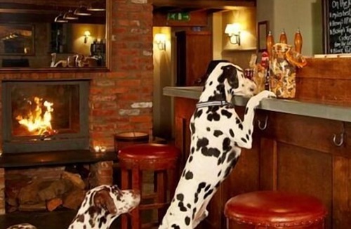 Edington Cottage | Edington Brewhouse Wiltshire