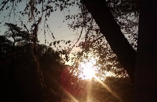 Colleton County House | Edisto River Retreat