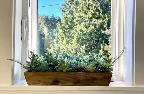 The Bowl of Edmonds Apartment | Edmonds Seaside Studio | Walk to Town and Train