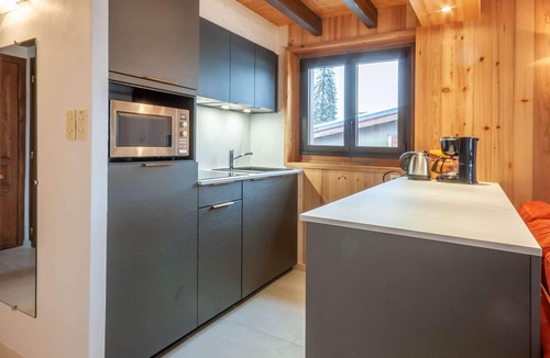 Morzine Apartment | Efanle 2 Ski in ski out 4 persons apartment