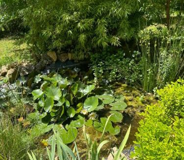 Saint-Cyr-au-Mont-d'Or House | Effet Lodge