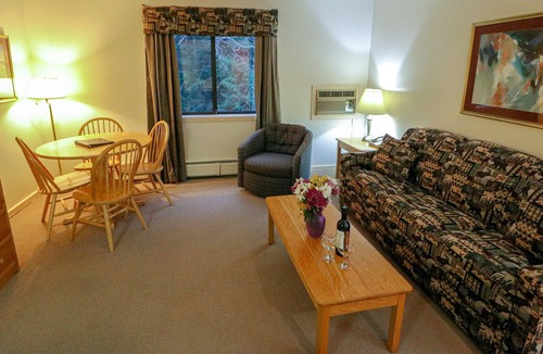 West Bridgewater Apartment | Efficiency with Sleeper Sofa only 221