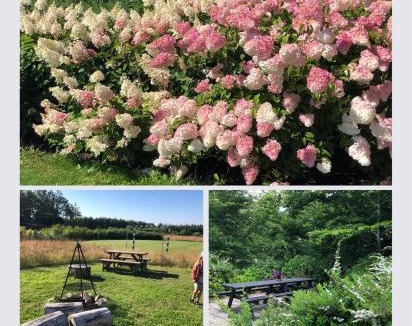 Sig House | Egebjerggaard Bed & Breakfast