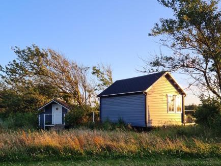 Lokken House | Egeskovs Alpaca & Cottage