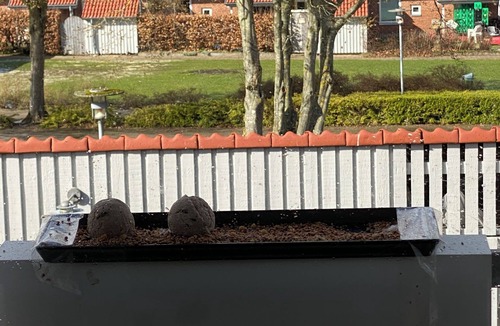 Tornbjerg House | Ego Etværelses i Stille Naturområde med alt tæt på