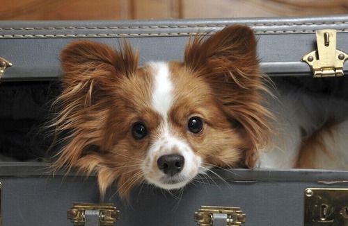 Kemptown Hotel | Ei8ht Brighton Apartments