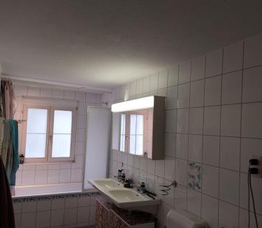 Morschach Apartment | Eidechse