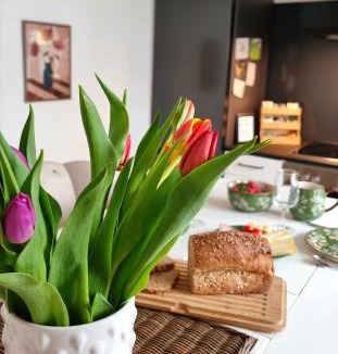 Rebstein Apartment | Eigene Wohnung I St Gallen I Appenzell I Bodensee I St Anton I Seealpsee