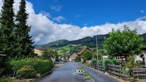 Rebstein Apartment | Eigene Wohnung I St Gallen I Appenzell I Bodensee I St Anton I Seealpsee