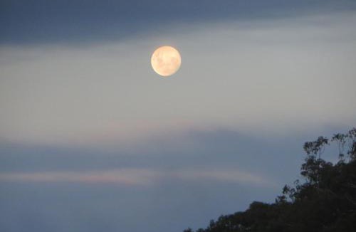 Eildon Hotel | Eildon Parkview Motor Inn Room 5