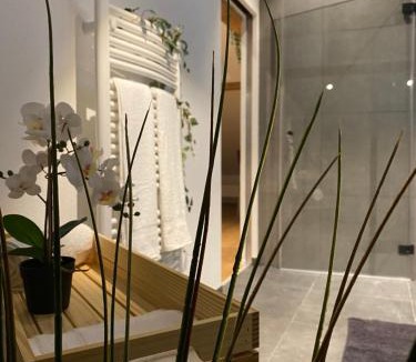 Birsfelden Apartment | Eine schöne Wohnung an der Birs