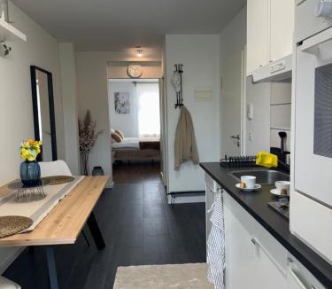 Basel City Centre Apartment | Eine schöne Wohnung bei der Erlenmatte