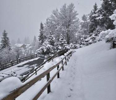 Ormont-Dessus Apartment | El Balcón des Diablerets