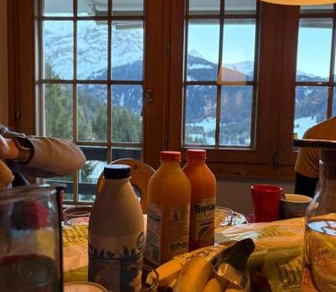 Ormont-Dessus Apartment | El Balcón des Diablerets