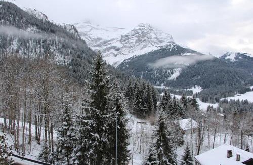 Ormont-Dessus Apartment | El Balcón des Diablerets