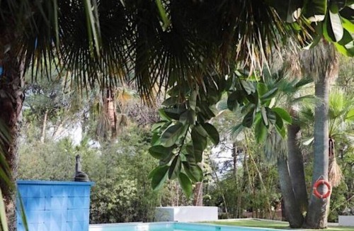 Sagra House | EL BOTANICO DE SAGRA - CASA AZUL PLANTA BAJA