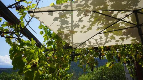 Mosset House | El Casot Alt