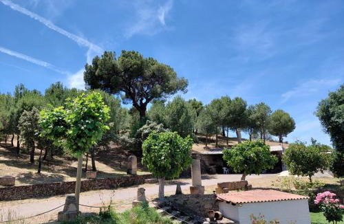 Oropesa House | El Cerro del Pinar