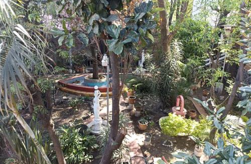 Santa Ursula Coapa Apartment | El Jardín Romántico en Ciudad de México