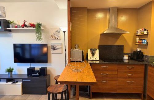 Salas de Pallars Apartment | El Loft de Salàs - L'Amfitriona