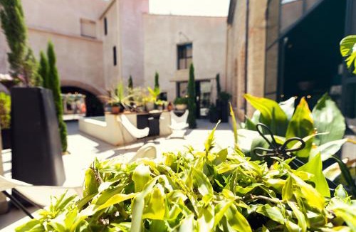 Thuir Bed & Breakfast | El pati