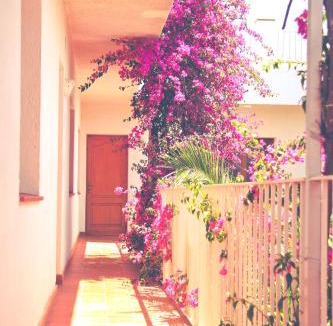 Vilamaniscle Apartment | El Penell Apartament Llevant