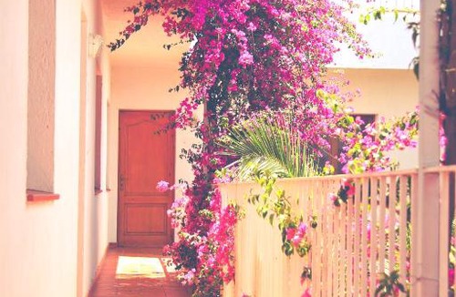 Vilamaniscle Apartment | El Penell Estudi Garbí