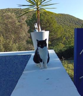 Olivella House | El Portal, 12 mins from Sitges