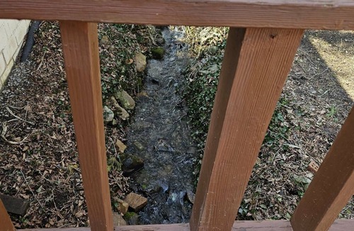James Creek Cabin | Elder's Rest- Raystown Lake, Stream, Boat Parking Available