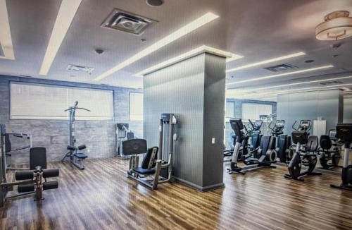 Bloor-Yorkville Apartment | Elegant and Charm Superior Suite Yorkville Toronto
