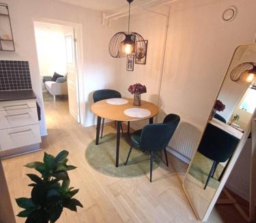 Aalborg Apartment | Elegant Apartment In Central Aalborg