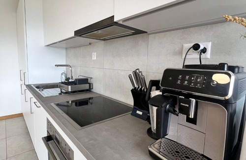 Petit-Saconnex / Servette Apartment | Elegant apt. with terrace & breathtaking view