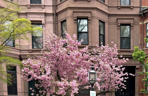 Back Bay East Condo | Elegant Back Bay Brownstone-Comm Av 1+ Bed - 1 Week Min, beyond 2 wks considered