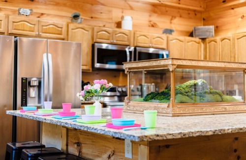 Pigeon Forge Cabin | Elegant Elite Estate — Wedding Venue w/Lodging