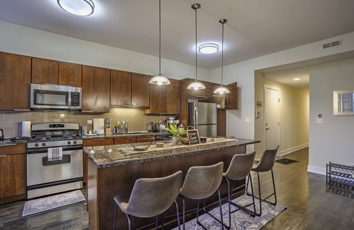Hyde Park Apartment | Elegant Escape 4BR/3BA near UChicago & Obama Home