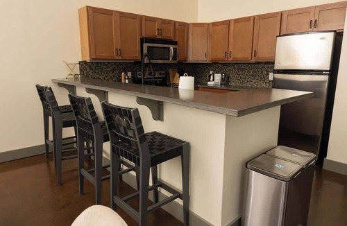 Roanoke Apartment | Elegant new 1BR loft in downtown