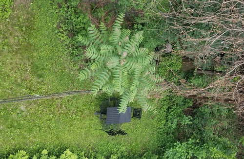 Ditmars Steinway Apartment | Elegant NYC Pad with Wifi