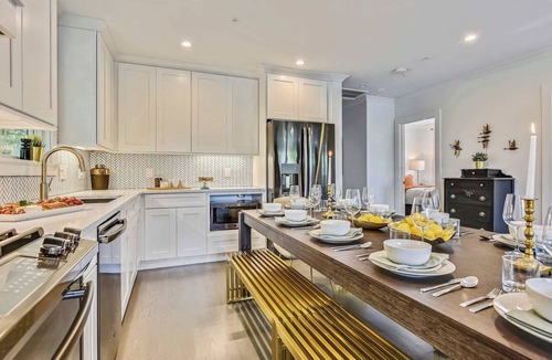 Jamaica Plain Apartment | Elegant Treetop Retreat | near T