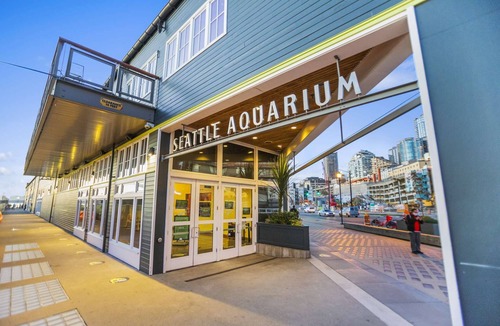 Downtown Seattle Apartment | Elektra Muse Studio w/Views - Walker’s Paradise