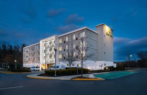 Lexington Hotel | Element by Marriott Lexington