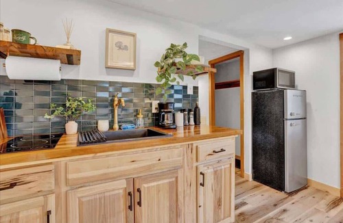 Canadensis Cabin | Elements Modern Cottage | Firepits | Pickleball