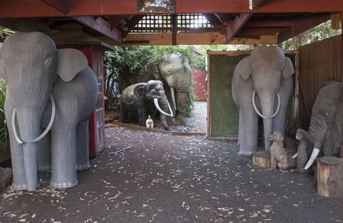 Sunset Strip House | Elephants at Sunset, A unique holiday experience