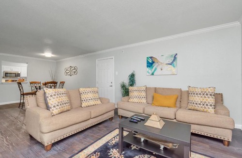 Braeswood Place Apartment | Elevate 24 One Bedroom Apartment Medical Center