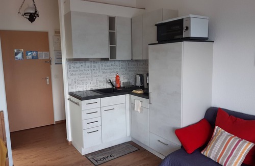 Emmetten Apartment | Elfe Apartments Studio for 2 adults, balcony with lake and mountain view