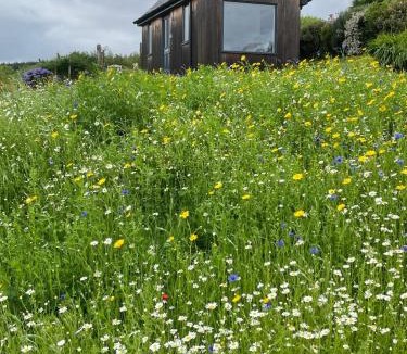 Suladale House | Elfin Cottage