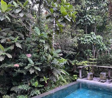 Payangan Villa | ElForest Villa Ubud, Payangan