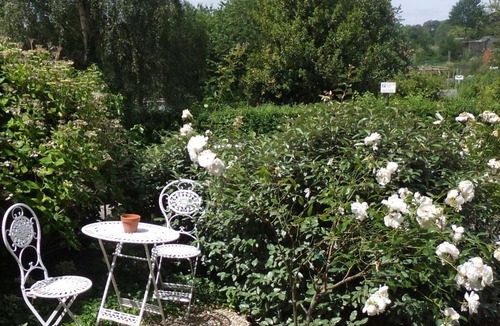 Upper Town Bed & Breakfast | Elgin Villa