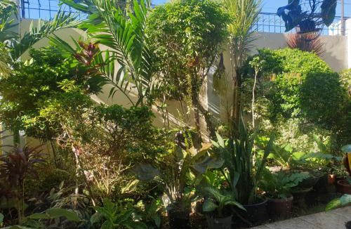 Old Seminole Heights Hotel | ELICON SUITES