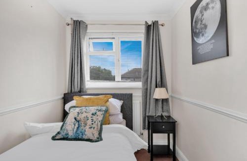 Belvedere House | ElimonnBloom