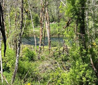 Lyons Other | Elkhorn Camp